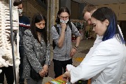 IMG_4195.JPG