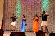 IMG_0247.JPG