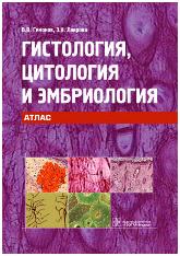 Гистология