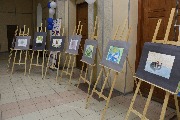 IMG_9343.JPG