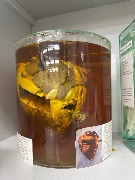 xn1OIU1PyoAkLMBdpcYYhsv3iZFV2Fn0Md8m-uHAI99MVMyyeAHhlBSqhZHWz-4p52FTen3qpkA4v3V3nYadeX0h