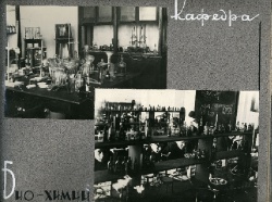 Scan8