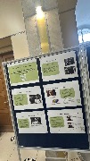 IMG_9206.jpg