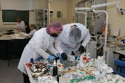 IMG_2156.JPG