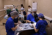 IMG_5506.JPG