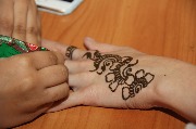 IMG_8649.JPG