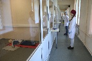 IMG_3364.JPG
