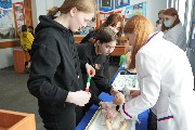 DSC02436.JPG