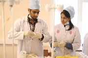 IMG_3896.JPG