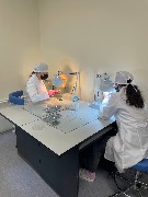 Nlquc8d3vYVO1TIpKfBCxLLCovOfWVB5TN0DT62FcsEA4L2tbnXs2DkTcpG72nHLS1Ev17UcUy5RnOiE5dg-ce_f