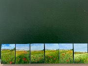 IMG_0826.jpg
