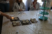 IMG_0770.JPG