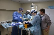 IMG_5486.JPG