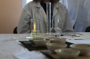 IMG_0786.JPG