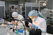IMG_2118.JPG