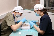 IMG_9497.JPG