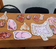 20200926_105319.jpg