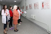 IMG_8133.JPG