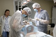 IMG_0317.JPG