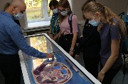 IMG_8227.JPG