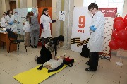 IMG_5430.JPG