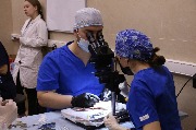IMG_5504.JPG