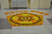 DSC_0195.JPG