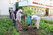 IMG_3469.JPG