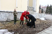 IMG_5553.JPG
