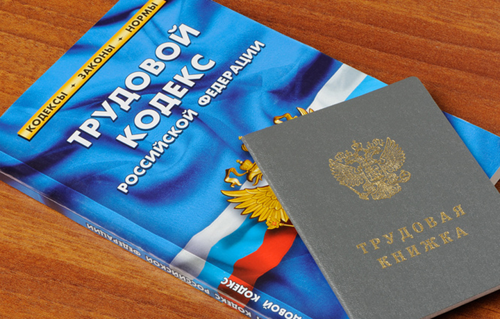 deyatelnost_samozanyatykh_grazhdan_planiruyut_vyvesti_iz_pod_deystviya_tk_rf_1.jpg