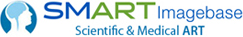 logo.png